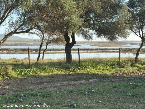 ESTUPENDA PARCELA CON BONITAS VISTAS - CADIZ