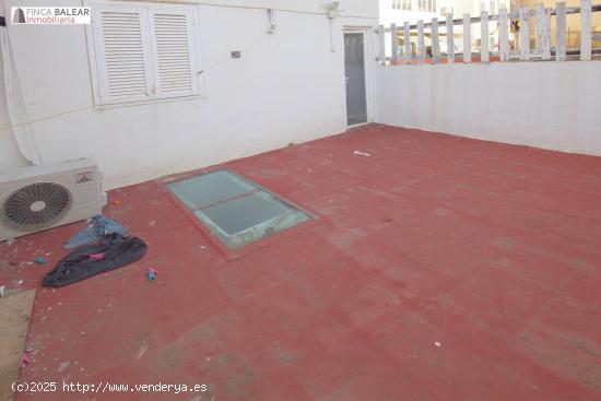  PRIMER PISO CON TERRAZA EN PLANTA JUNTO PLAZA COLUMNAS - BALEARES 