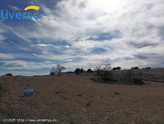 Terrenos Rústicos a la Venta: Oportunidades para Agricultura, Ganadería y Proyectos Naturales - BU