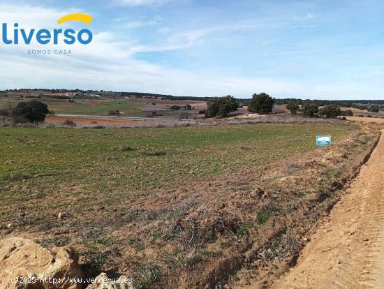 Terrenos Rústicos a la Venta: Oportunidades para Agricultura, Ganadería y Proyectos Naturales - BU