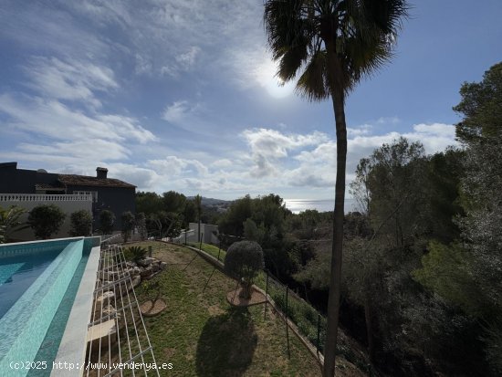 Villa en alquiler en Calvià (Baleares)