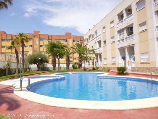  Piso en venta en Torrevieja (Alicante) 