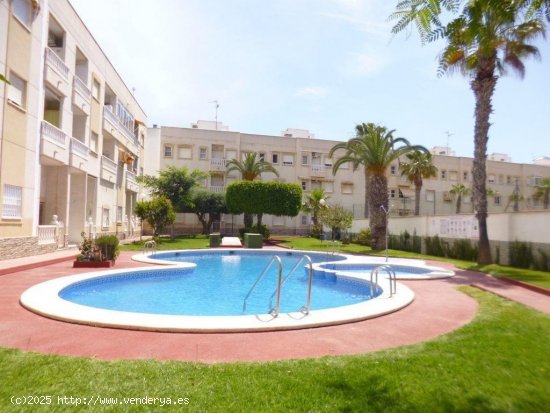 Piso en venta en Torrevieja (Alicante)