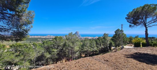 Parcela en venta en Calpe (Alicante)