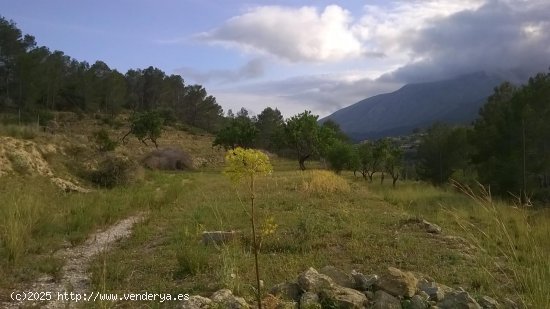  Parcela en venta en Benissa (Alicante) 