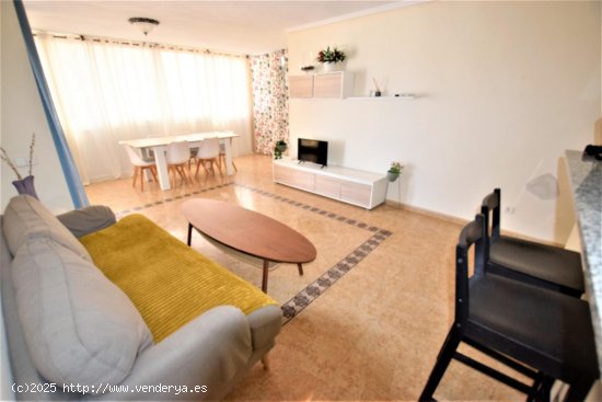 Apartamento en alquiler en Guardamar del Segura (Alicante)