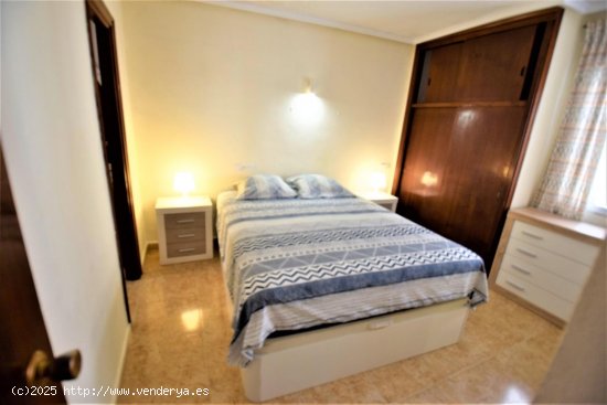 Apartamento en alquiler en Guardamar del Segura (Alicante)