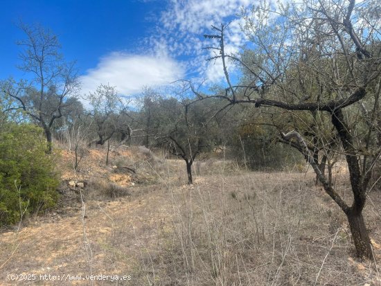 Finca en venta en Horta de Sant Joan (Tarragona)