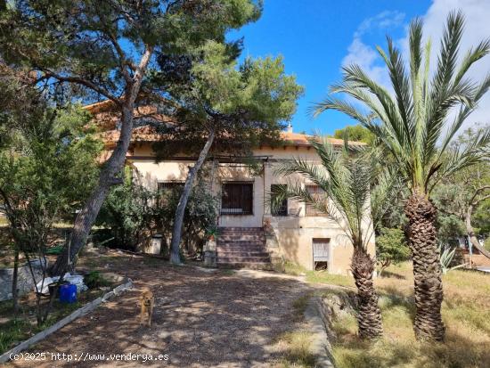 Visita este fantástico trocito de cielo en Vistahermosa - Alicante - ALICANTE