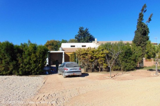 Villa en venta en Fuente Álamo de Murcia (Murcia)