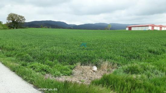 Se vende terreno industrial en La Puebla de Arganzón - BURGOS