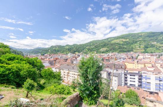 LO MEJOR DE UN PISO CON TERRENO Y GARAJE NCLUIDO EN EL CENTRO DE MIERES!! - ASTURIAS