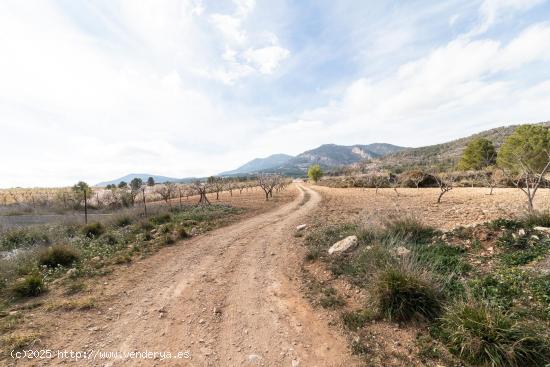 Casa rustica con terreno - MURCIA