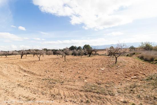 Casa rustica con terreno - MURCIA