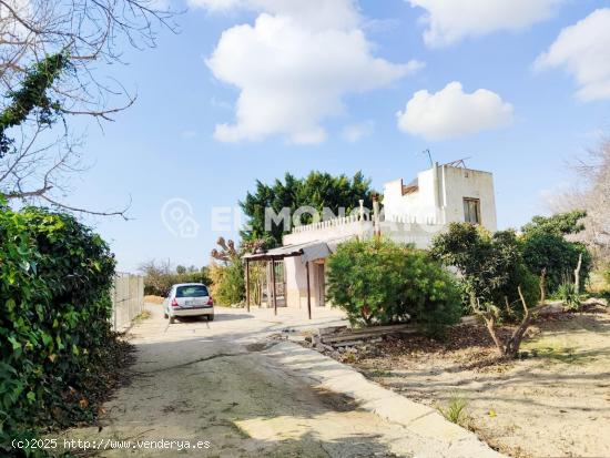  Fantástica casa con terreno junto a la localidad de Benejúzar, Alicante, Costa Blanca - ALICANTE 