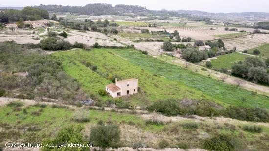  Finca rústica en Montuiri, excelente oportunidad - BALEARES 