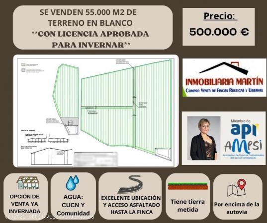  55.000 M2 DE TERRENO EN BLANCO CON LICENCIA APROBADA PARA INVERNAR - ALMERIA 