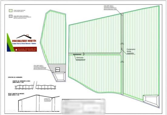 55.000 M2 DE TERRENO EN BLANCO CON LICENCIA APROBADA PARA INVERNAR - ALMERIA