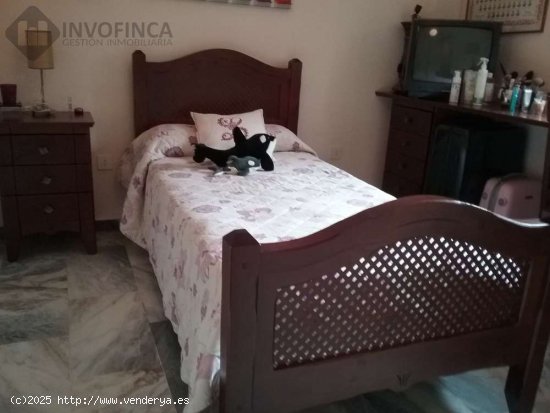 GRAN PISO EXCLUSIVO DE LUJO EN LA MEJOR ZONA DE BADAJOZ PRECIO NEGOCIABLE - Badajoz