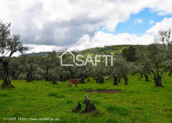 Fantástica finca rústica en pleno Sierra de Gata.