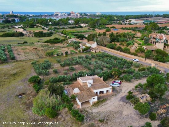 Finca rústica cerca de la colonia san Jordi