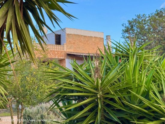 Finca rústica cerca de la colonia san Jordi