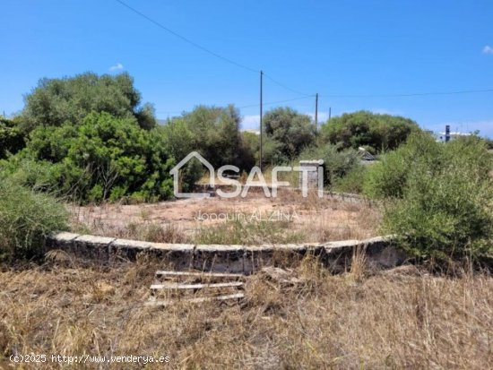 Finca rústica de 25.051m² de terreno en Mahón.