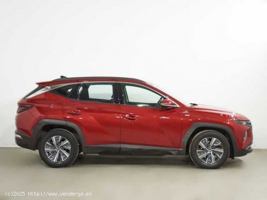 Hyundai Tucson ( 1.6 TGDI 48V Maxx 4x2 )  - Jeréz de la Frontera