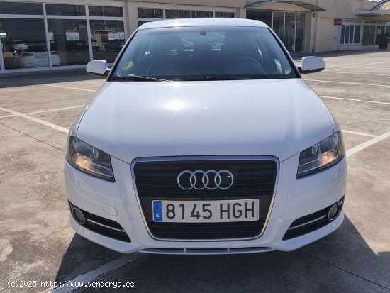 Audi A3 1.6 - El Prat de Llobregat