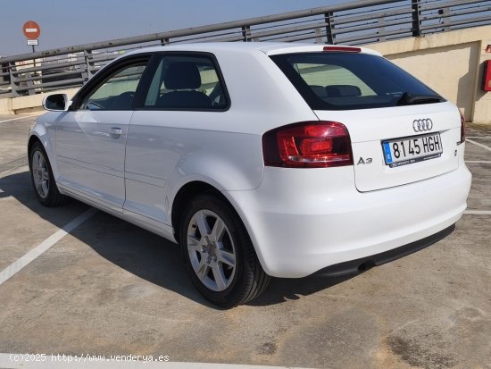 Audi A3 1.6 - El Prat de Llobregat