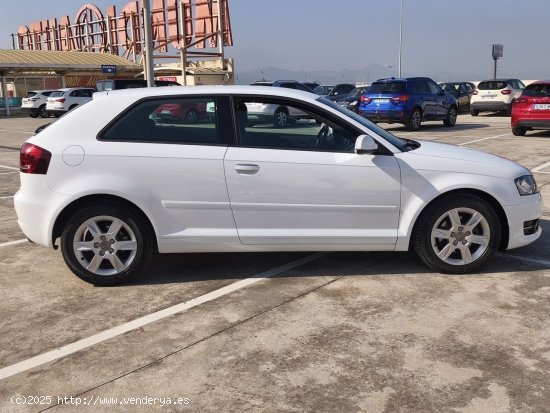 Audi A3 1.6 - El Prat de Llobregat