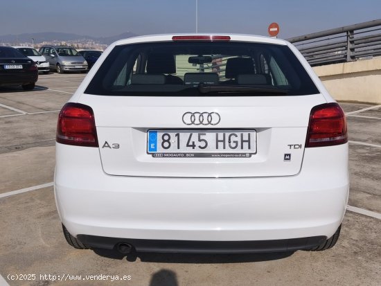 Audi A3 1.6 - El Prat de Llobregat