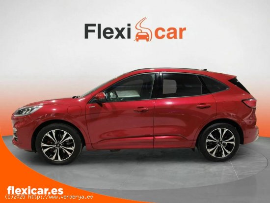 Ford Kuga ST-Line X 2.5 Duratec PHEV 165kW Auto - Lleida