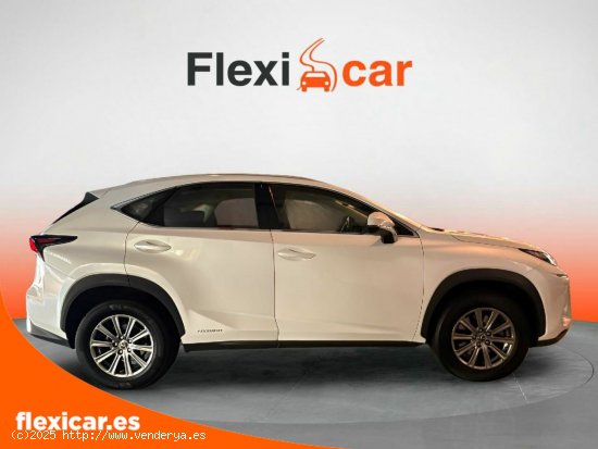 Lexus NX 2.5 300h Business Navigation 2WD - Sant Just Desvern