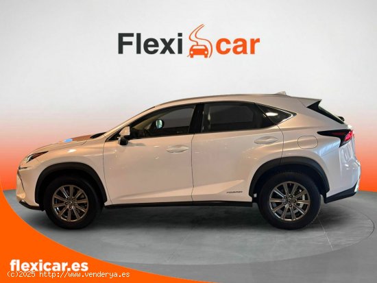 Lexus NX 2.5 300h Business Navigation 2WD - Sant Just Desvern