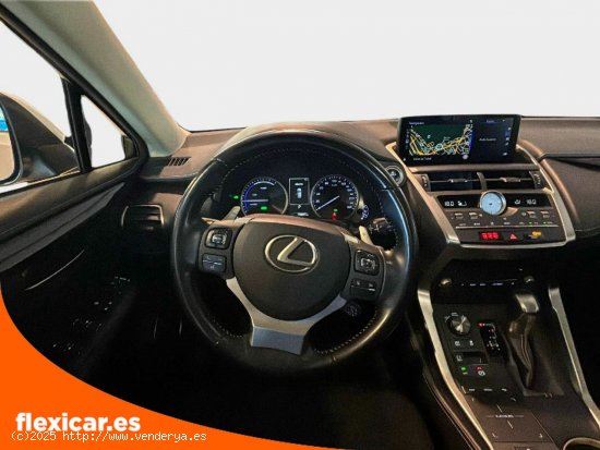 Lexus NX 2.5 300h Business Navigation 2WD - Sant Just Desvern