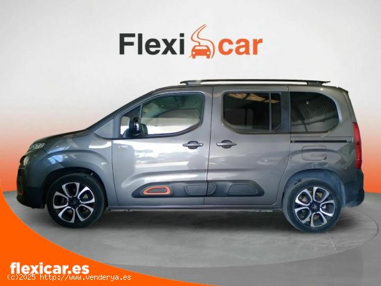 Citroën Berlingo Talla M BlueHDi 100 S&S SHINE - Huércal de Almería