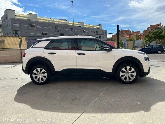 Citroën C4 Cactus PureTech 110 S&S Feel - Parla