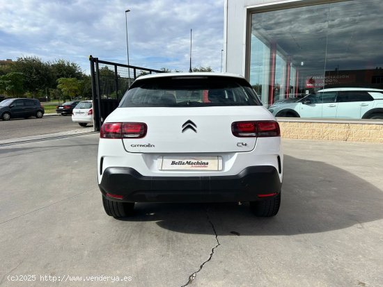 Citroën C4 Cactus PureTech 110 S&S Feel - Parla