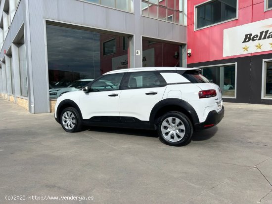 Citroën C4 Cactus PureTech 110 S&S Feel - Parla