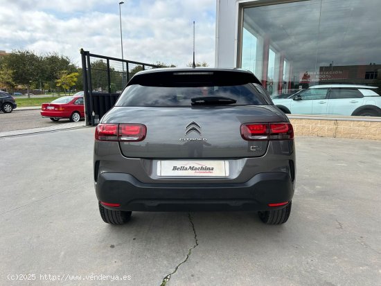 Citroën C4 Cactus PureTech 81KW (110CV) S&S Shine - Parla