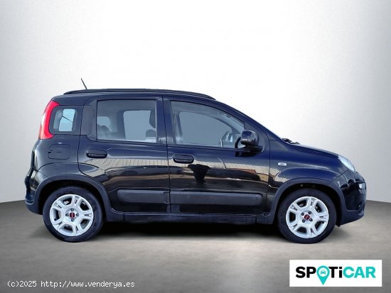 Fiat Panda City Life Hybrid 1.0 Gse 51kw (70CV) - Sabadell