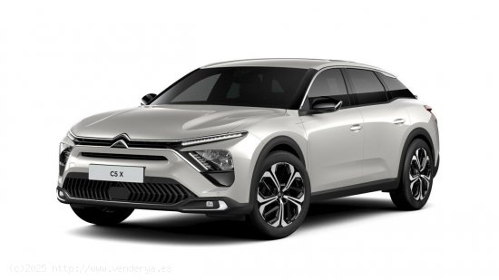 Citroën C5 X PureTech 96kW (130CV) S&S EAT8 Plus - 