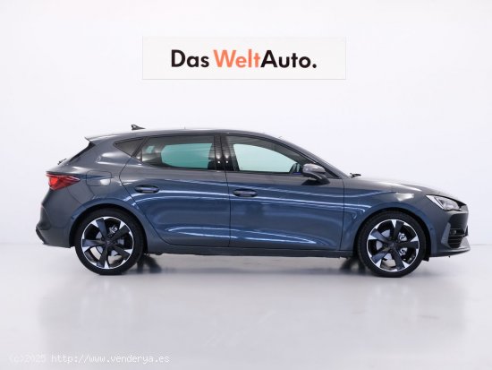 Cupra León 1.5 eTSI 110kW (150CV) DSG - 