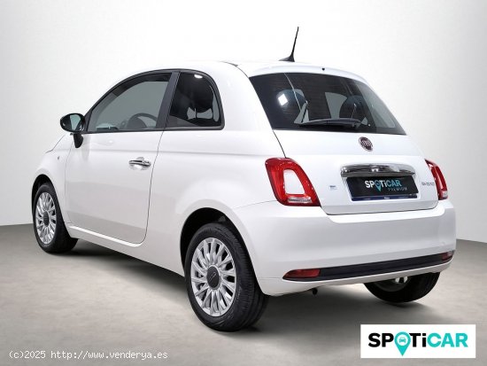 Fiat 500 Cult 1.0 Hybrid 51KW (70 CV) - 