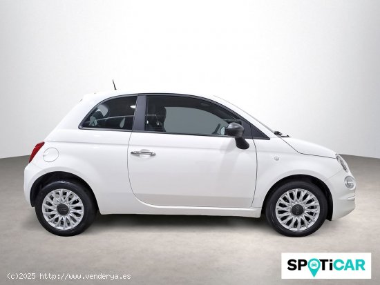 Fiat 500 Cult 1.0 Hybrid 51KW (70 CV) - 