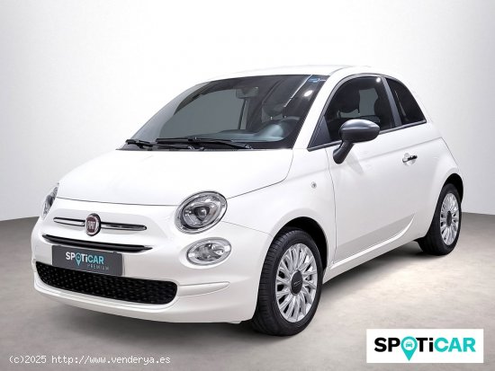 Fiat 500 Cult 1.0 Hybrid 51KW (70 CV) - 