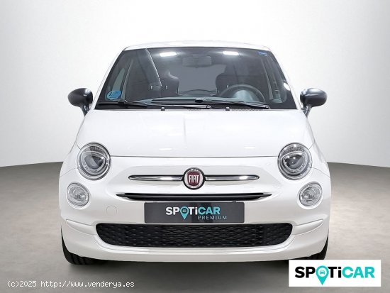 Fiat 500 Cult 1.0 Hybrid 51KW (70 CV) - 