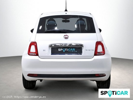 Fiat 500 Cult 1.0 Hybrid 51KW (70 CV) - 