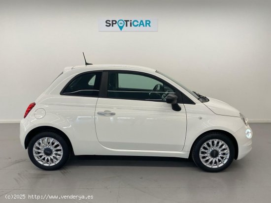 Fiat 500 Cult 1.0 Hybrid 51KW (70 CV) - 